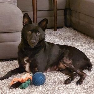 Meet your Posher, Tracy